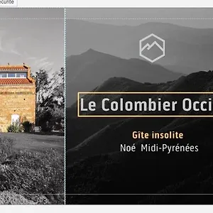Colombier Occitan Noé