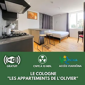  Appartement Le Cologne - De L'olivier France